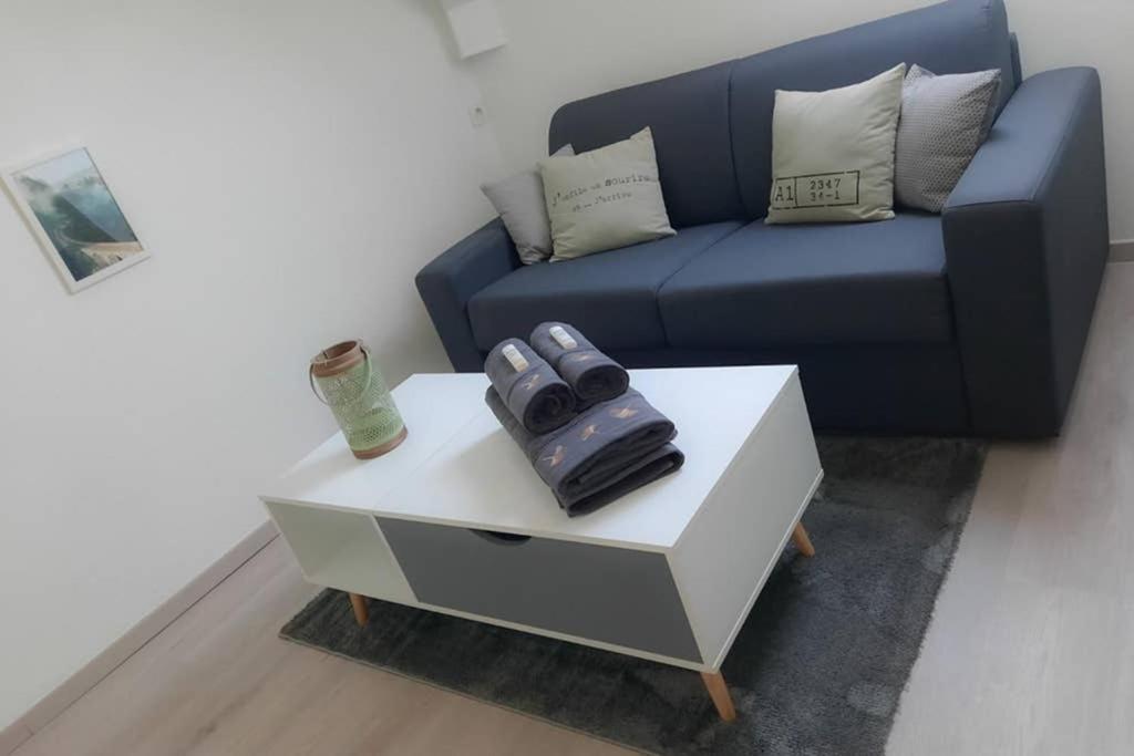 Le Cosy Apartment Sens Bagian luar foto