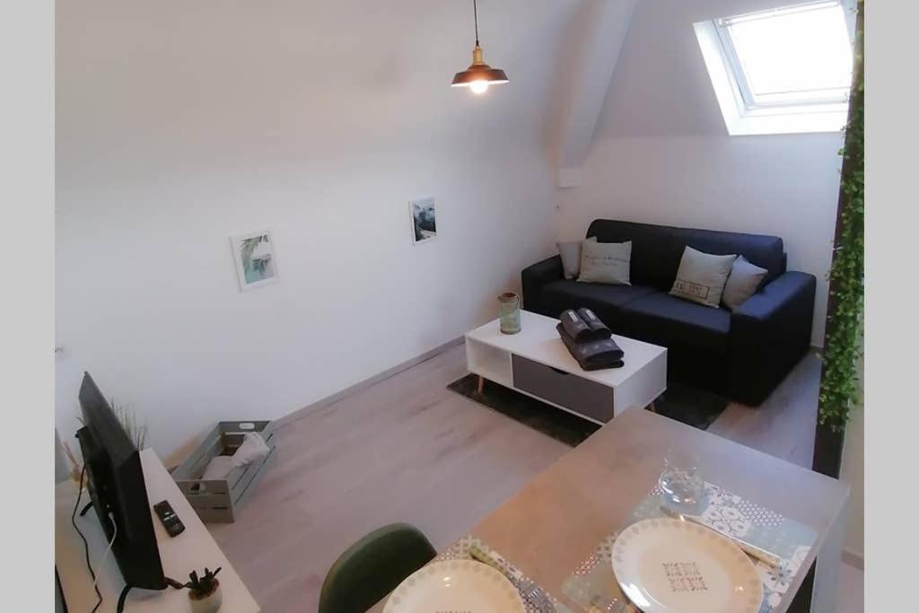Le Cosy Apartment Sens Bagian luar foto