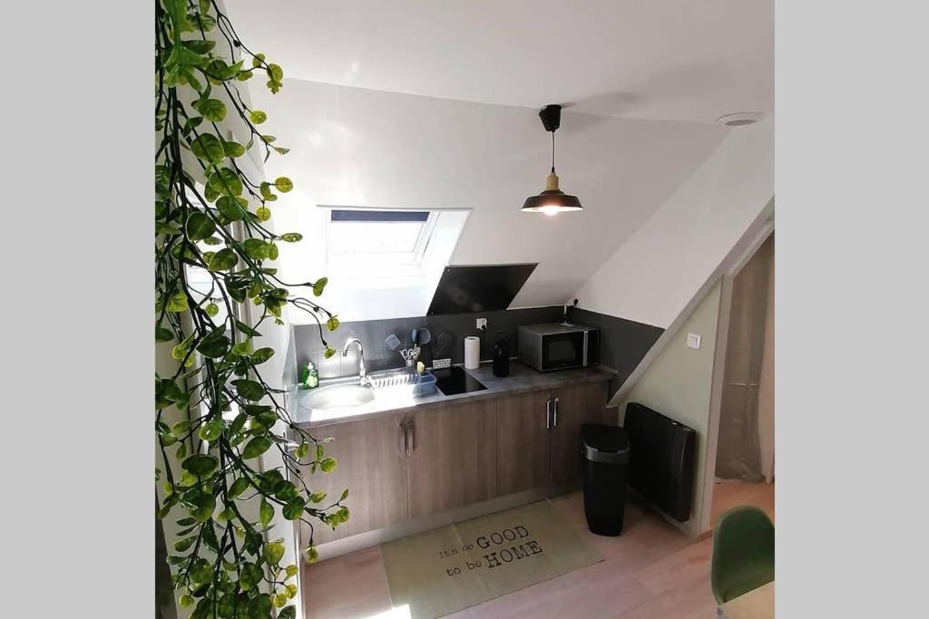 Le Cosy Apartment Sens Bagian luar foto